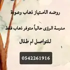 سائقة التوصيل إلى روضه الامتياز
