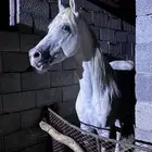 حصان واهو