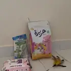 مستلزمات قط مع قط تبني