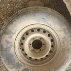 جنوط هلال