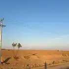 مزرعة شرق كبد القصيم صكين 120 دينمو بير عمق 600 متر
