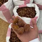 تمر حلال علف نضيف وطيب