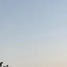 حمام للبيع بلدي و فرنسي مخلوط مع بعض