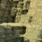 بلوبنك اعلاف مواشي