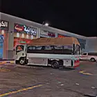 دينه الباحه