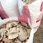 خبز ناشف صافي للحلال