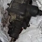 دودة دركسون فورد