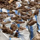 للبيع خياش 15 كيلو