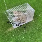مصيدة قطط فعاله ميه بالميه