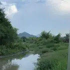 حوش بكهرباء في المحالة