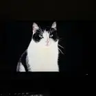 شاشة قيمنق Alienware 360hz