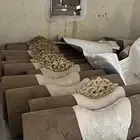 مساند مجلس
