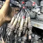 حساسات شكمان يارس