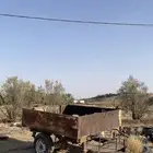 قلص للبيع