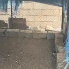 شبك دجاج