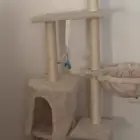 خداشه للقطط