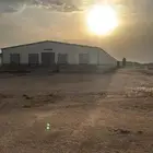 6 حظاير دجاج لاحم للايجار جاهزه