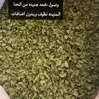 سدر وحنا المدينة