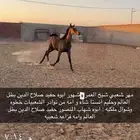 مهر شعبي