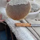 عسل طلحة حائل