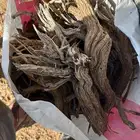 حطب خياش مستورد إفريقي