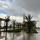 ابحث عن ملحق تحت الانشاء او للبيع في نخبة الوسام
