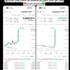 تداول وادارة محافظ في العملات الرقمية والفوركس