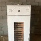 فقصت دجاج   اقفص