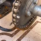 دباب