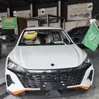 دونج فينج شاين 2025