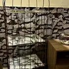 عربيه للبيع