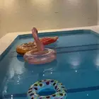 شاليهات  شاليه ريبال جيزان