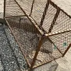 شبك دجاج بيشه