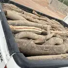 مسحه صندوق غماره )
