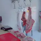 ملحمة حاشي مشعل