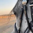 حصان واهو