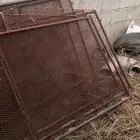 شبوك دجاج 2ف 2 سليم من الكسور