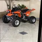 مطلوب بانشي م يهم الموديل