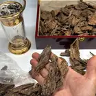 عود قديم نوادر