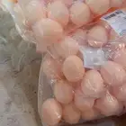 بيض بلستيك