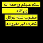 مطلوب شقه للإيجار