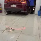 تشاجر 20