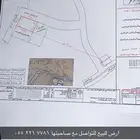 ارض للبيع الموقع تندحه