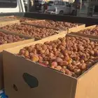 تمر خلاص وادي حبه طيبه