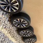 جنوط التيما