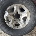 جنوط شاص وكاله