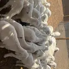 بهم تربيه نظيف