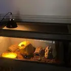 مستلزمات وفيران وجرذان