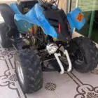 دباب