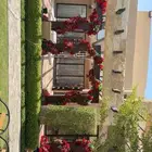 تجهيز حفلات وبطولات عشا